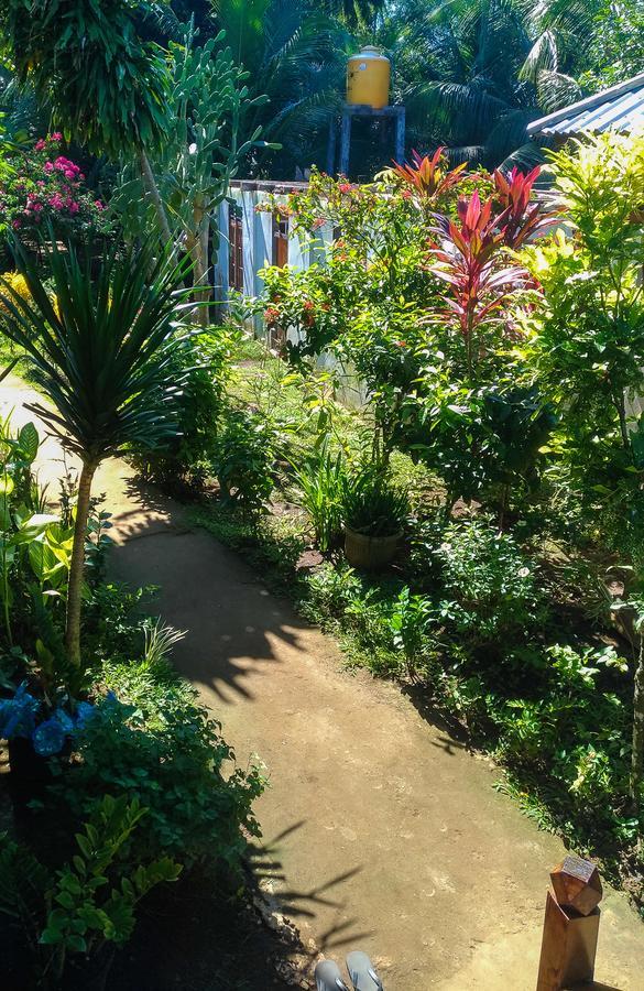 Panorama Backpackers Hotell Bunaken Eksteriør bilde
